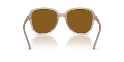 Transparent Caramel - 0VO5601S 8056262240922