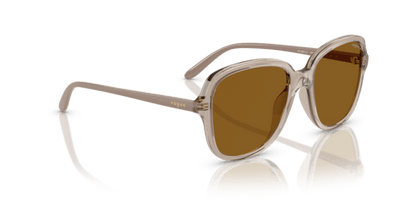 Transparent Caramel - 0VO5601S 8056262240922