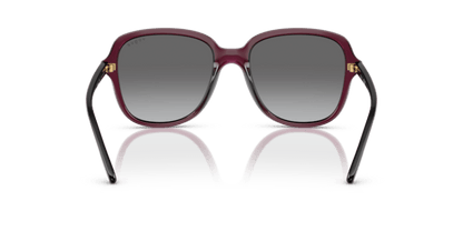 Transparent Cherry - 0VO5601S 8056262240915