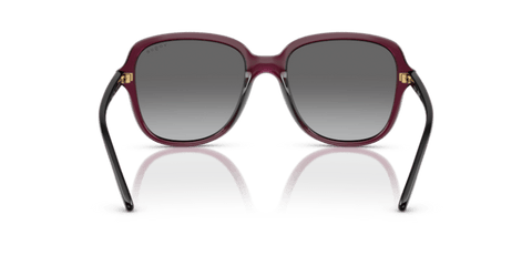 Transparent Cherry - 0VO5601S 8056262240915