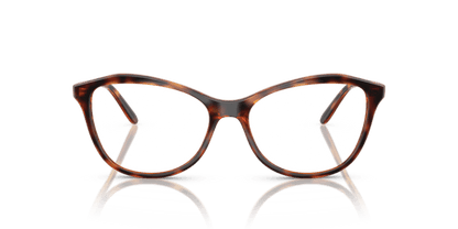 Dark Havana - 0VO5602 8056262227619