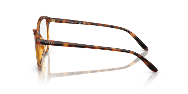 Dark Havana - 0VO5602 8056262227619