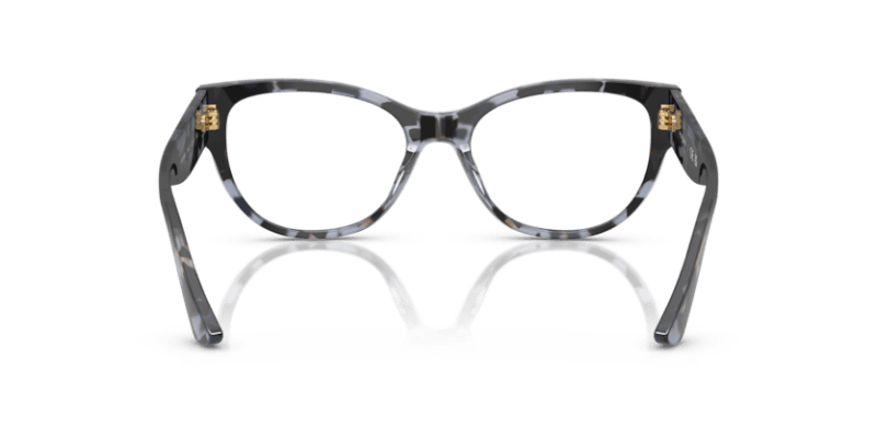 Blue Tortoise - 0VO5604 8056262266687