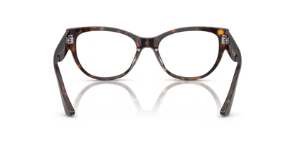 Dark Havana - 0VO5604 8056262266830