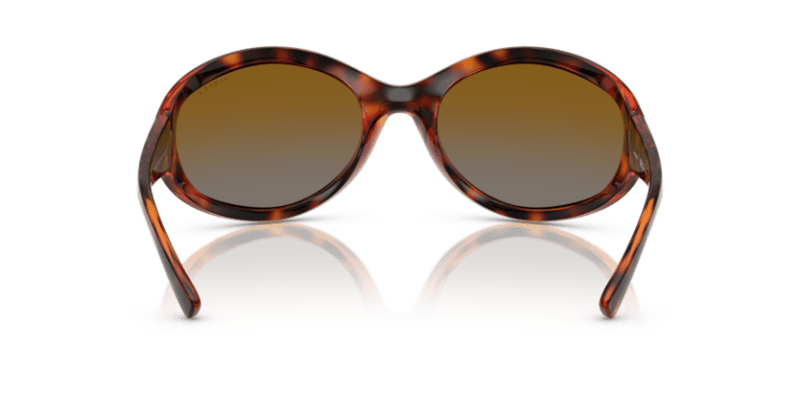 Dark Havana - 0VO5606S 8056262232613