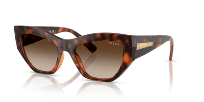 Dark Havana - 0VO5607S 8056262232729