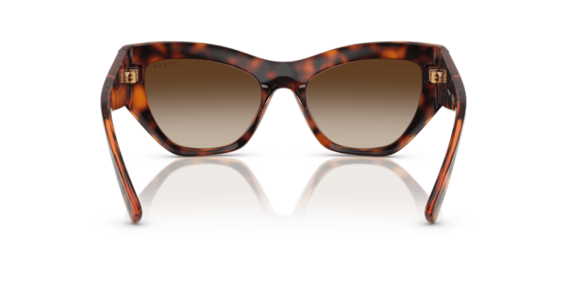 Dark Havana - 0VO5607S 8056262232729