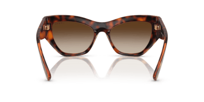 Dark Havana - 0VO5607S 8056262232729