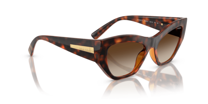 Dark Havana - 0VO5607S 8056262232729