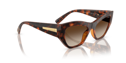 Dark Havana - 0VO5607S 8056262232729