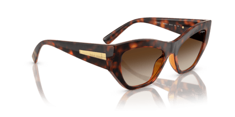 Dark Havana - 0VO5607S 8056262232729