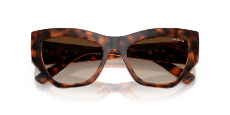 Dark Havana - 0VO5607S 8056262232729