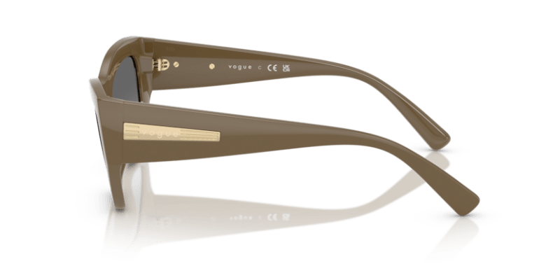 Full Brown - 0VO5607S 8056262232682