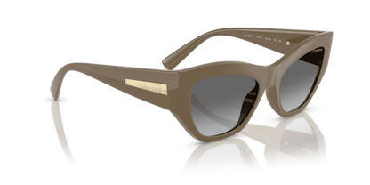 Full Brown - 0VO5607S 8056262232682