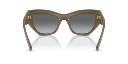 Full Brown - 0VO5607S 8056262232682