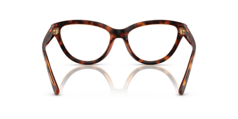 Dark Havana - 0VO5610B 8056262228739