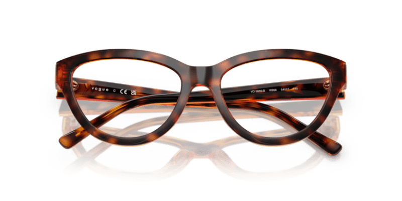 Dark Havana - 0VO5610B 8056262228739