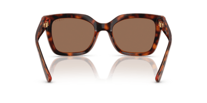 Dark Havana - 0VO5613SB 8056262233641