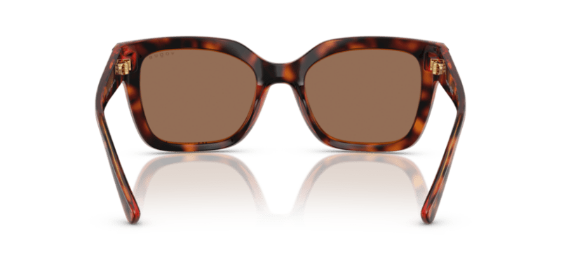 Dark Havana - 0VO5613SB 8056262233641