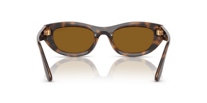 Total Dark Havana - 0VO5616S 8056262245385