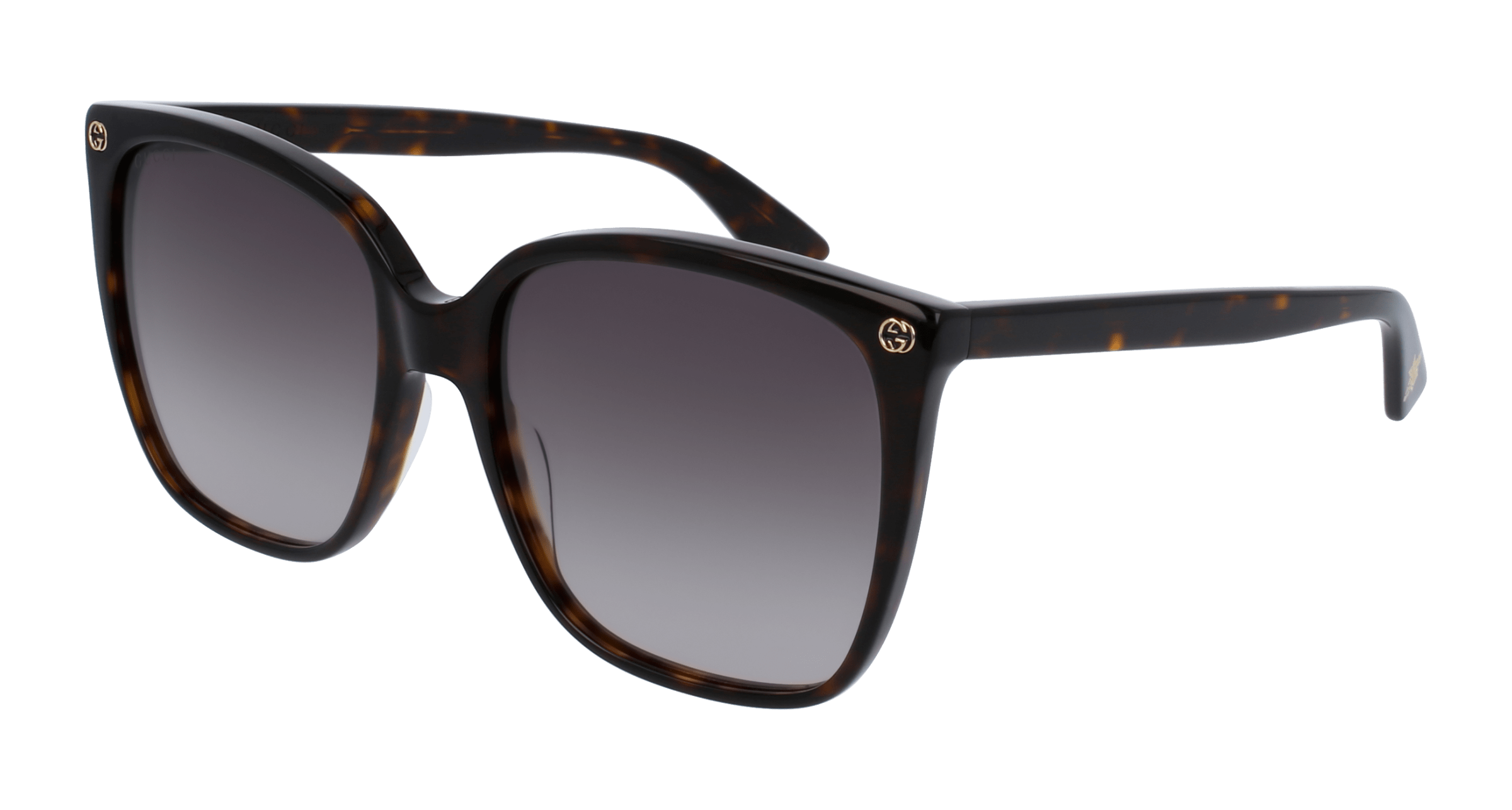 Havana Sunglasses Gucci 889652048147