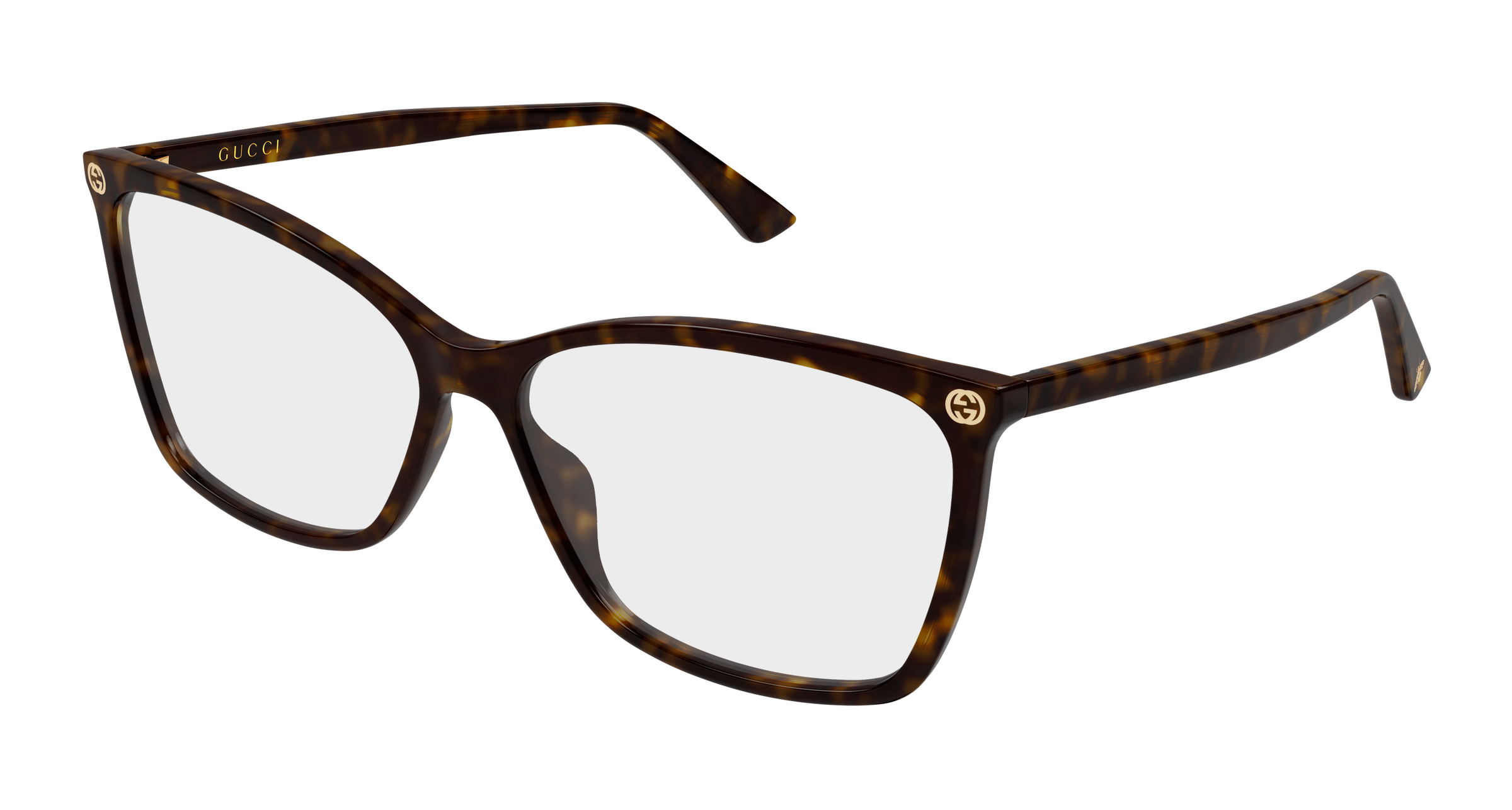 Gucci GG0025O Havana 009 889652154770