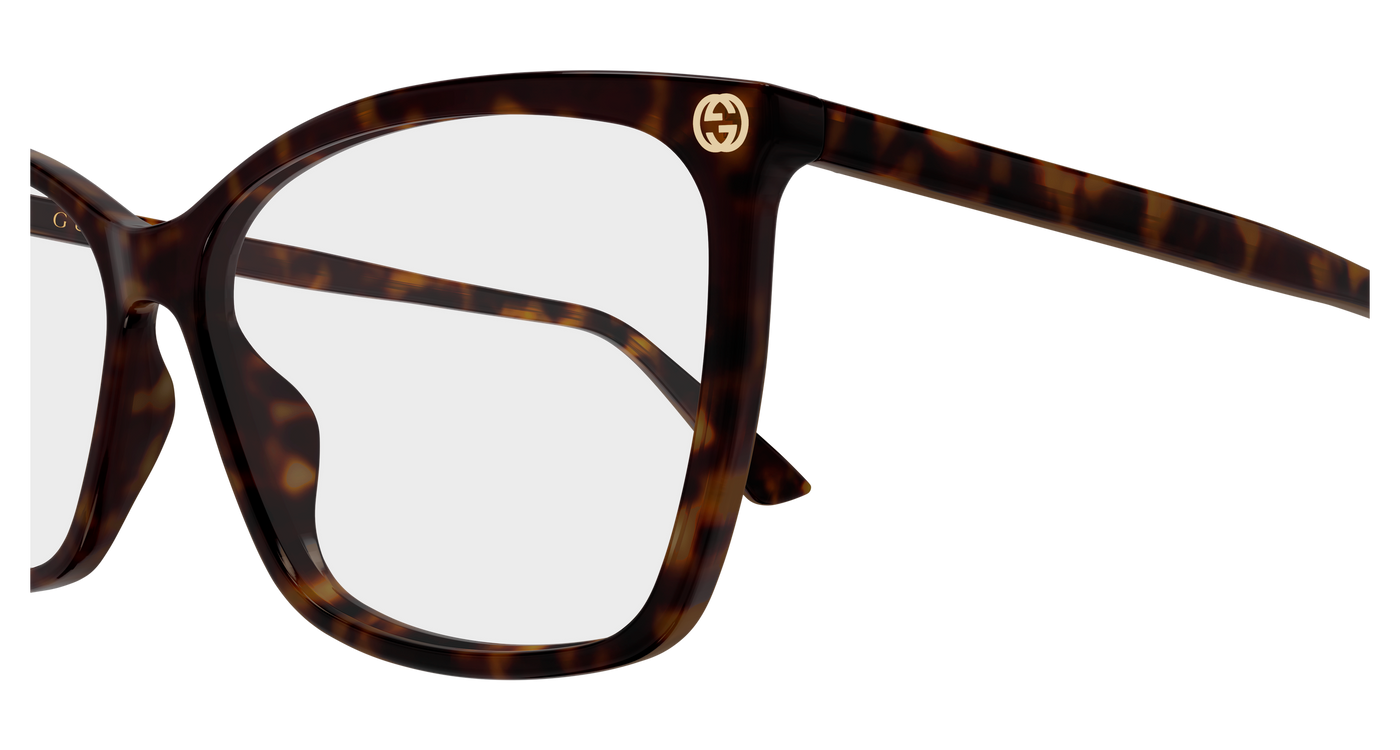 Gucci GG0025O Havana 009 889652154770