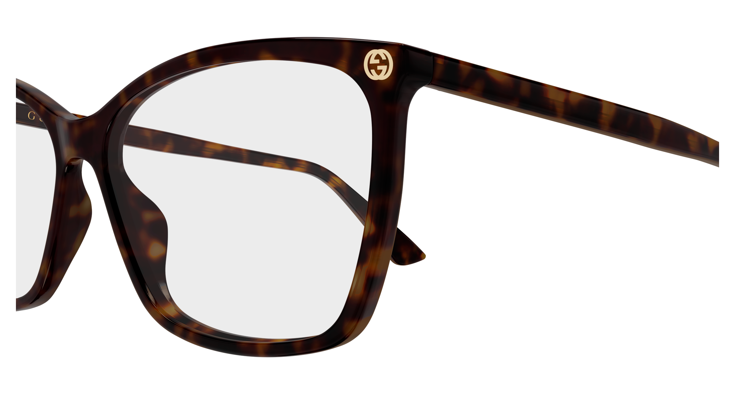 Gucci GG0025O Havana 009 889652154770