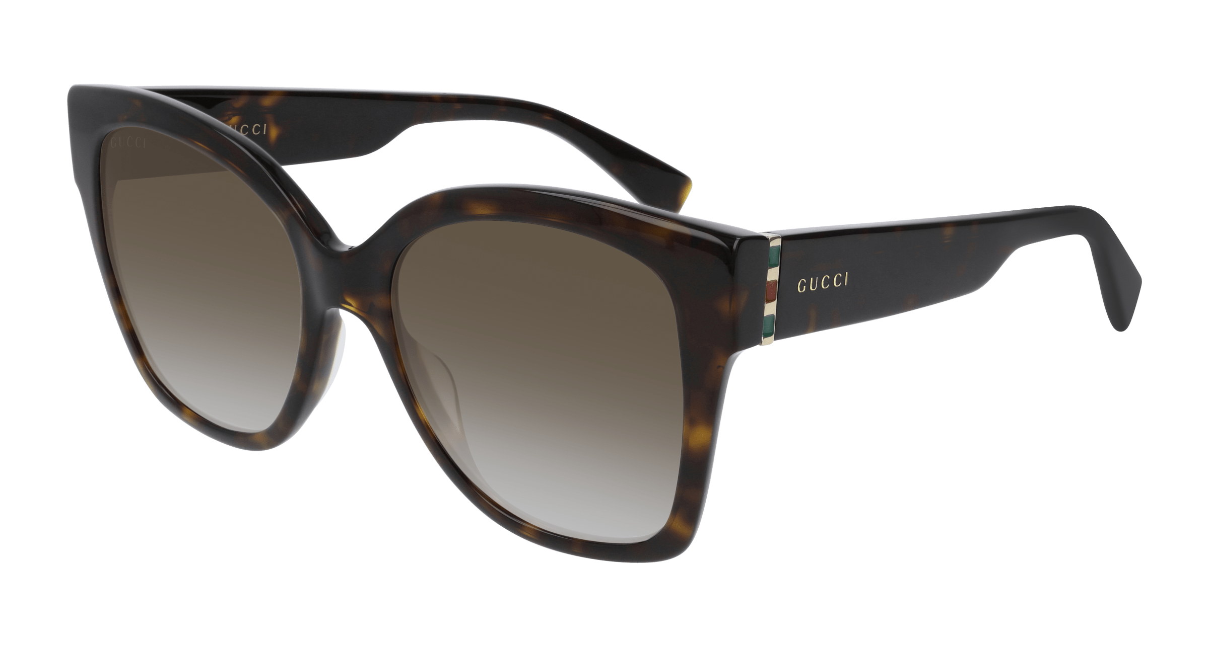 Havana Sunglasses Gucci 889652203638