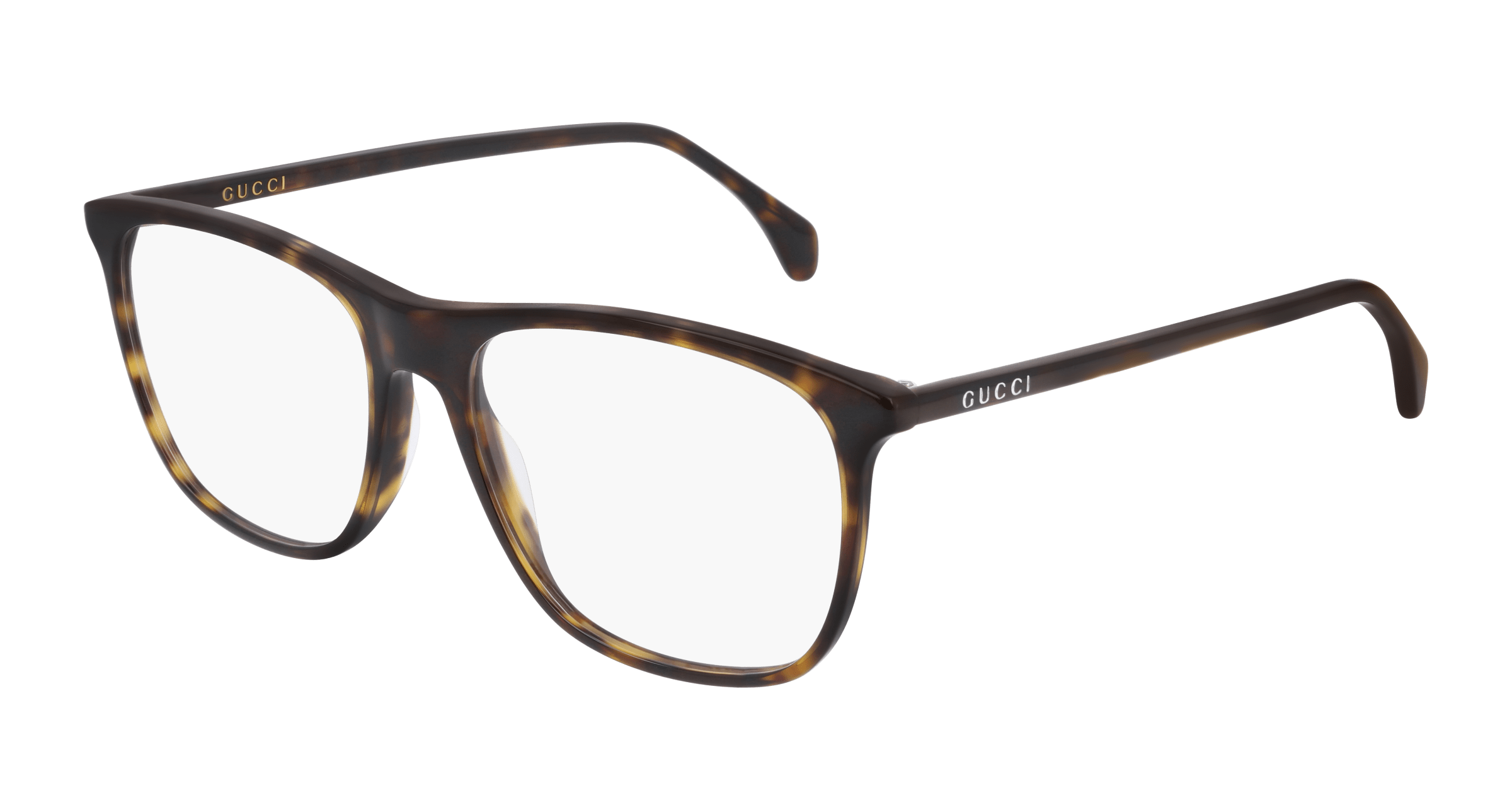 Havana Eyeglasses Gucci 889652258812