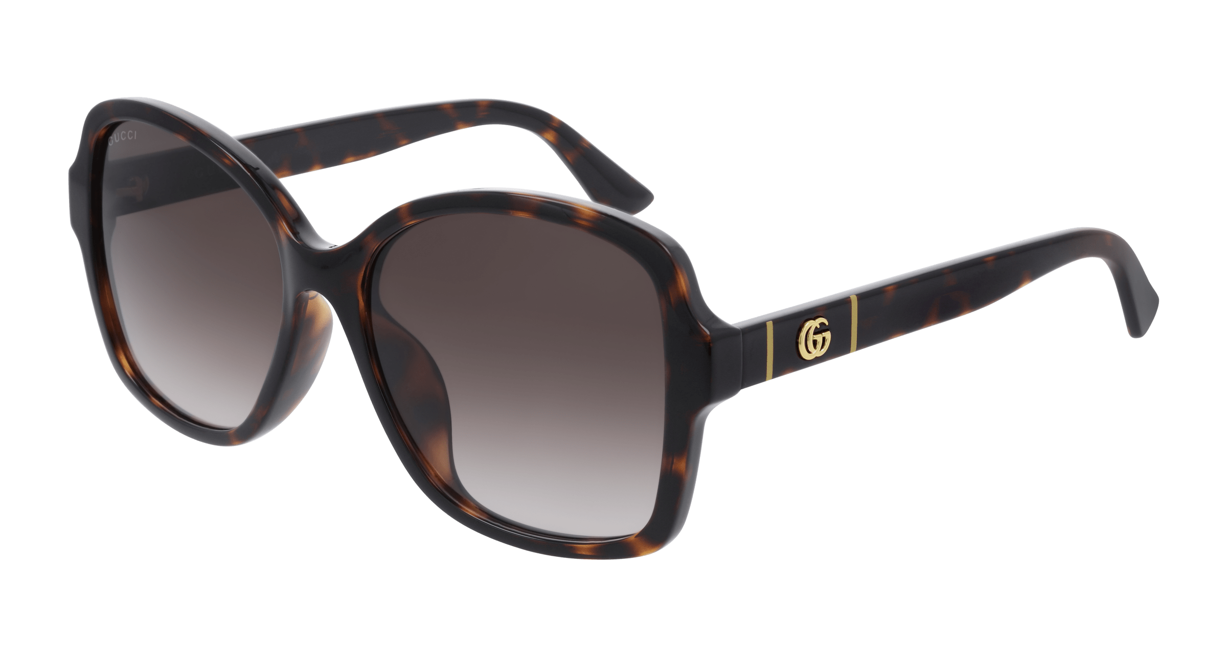 Havana Sunglasses Gucci 889652296142