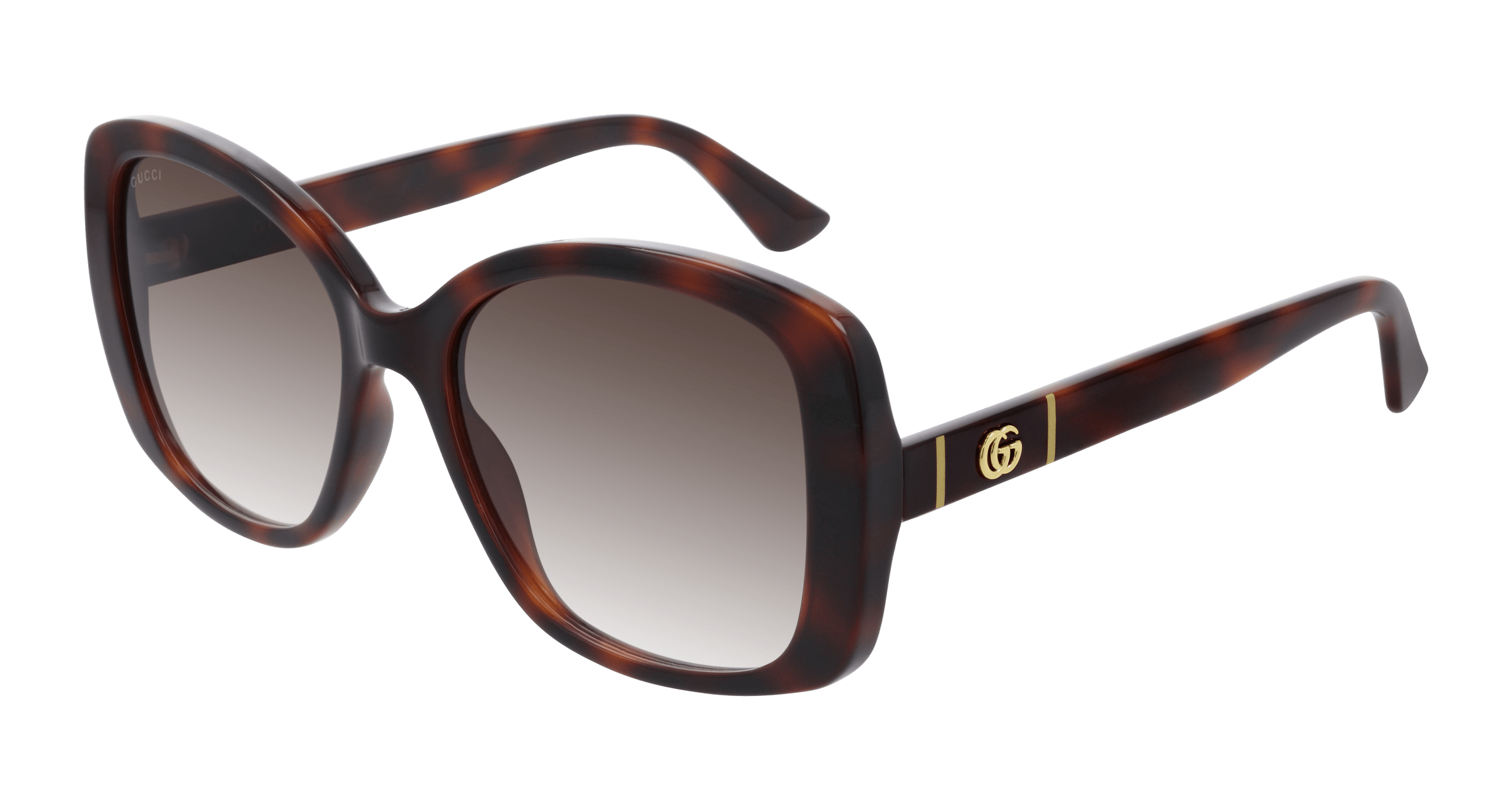 Havana Sunglasses Gucci 889652295299