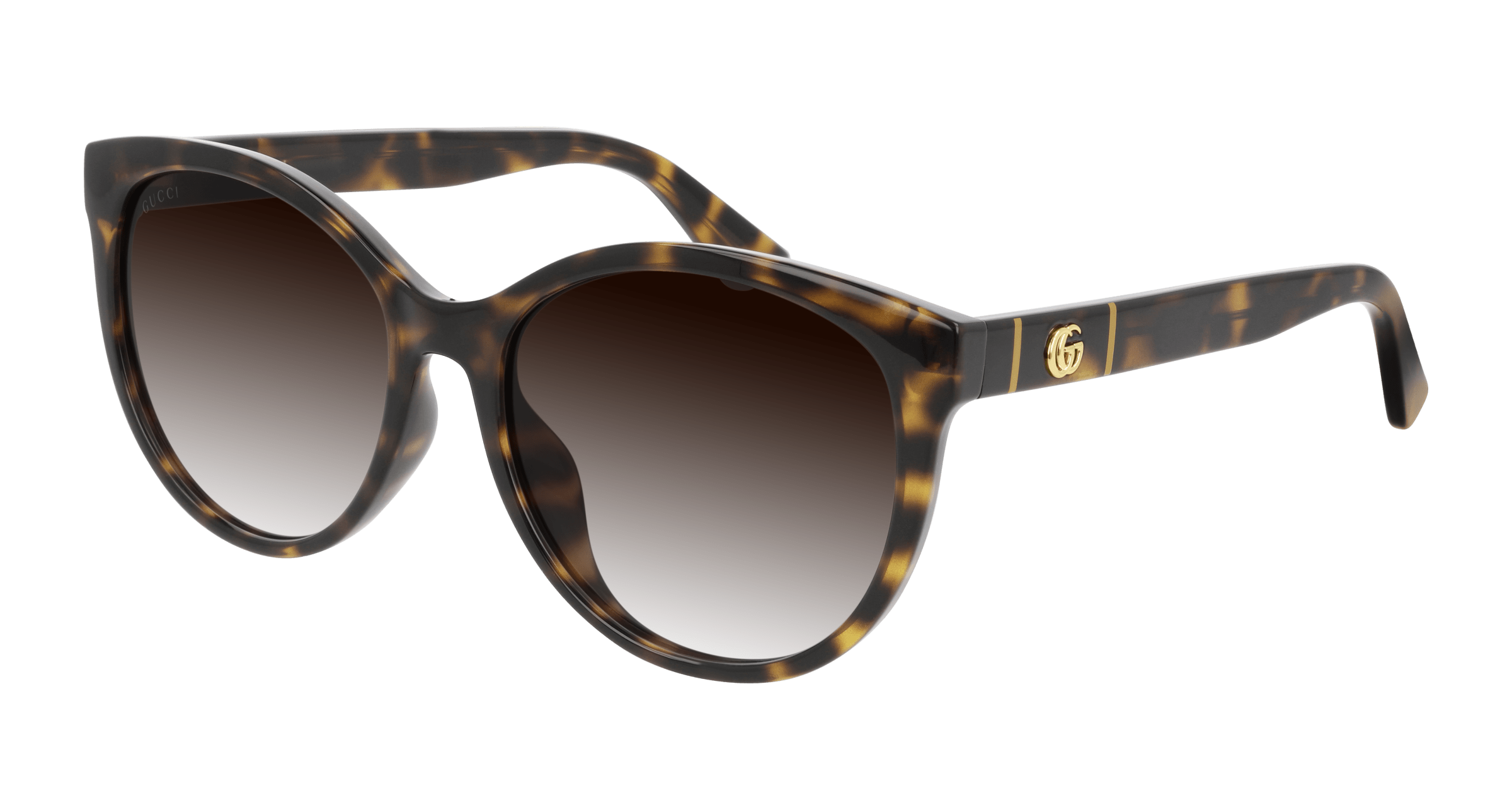 Havana Sunglasses Gucci 889652278988