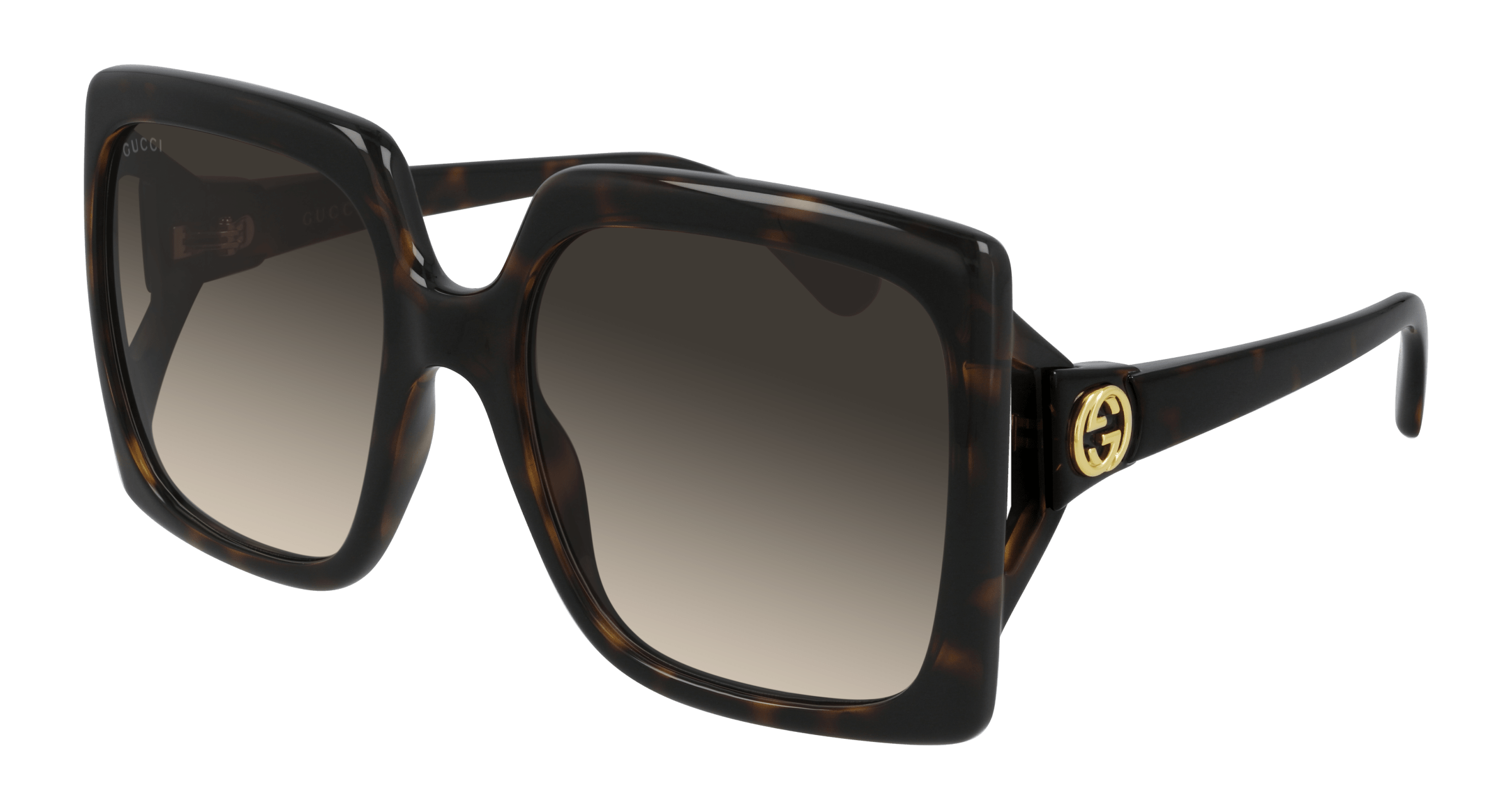 Havana Sunglasses Gucci 889652324661