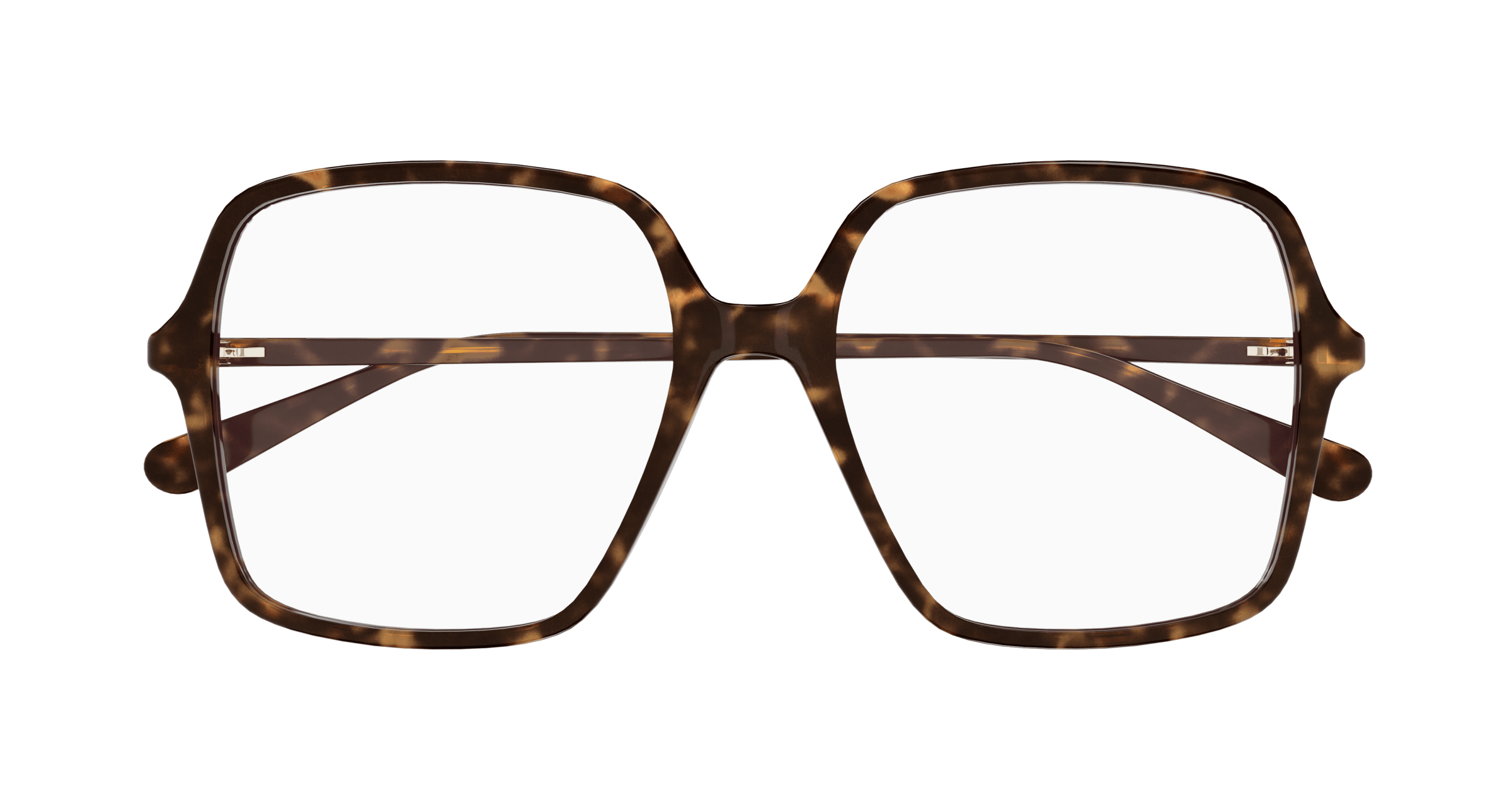 Havana Eyeglasses Gucci 889652356822