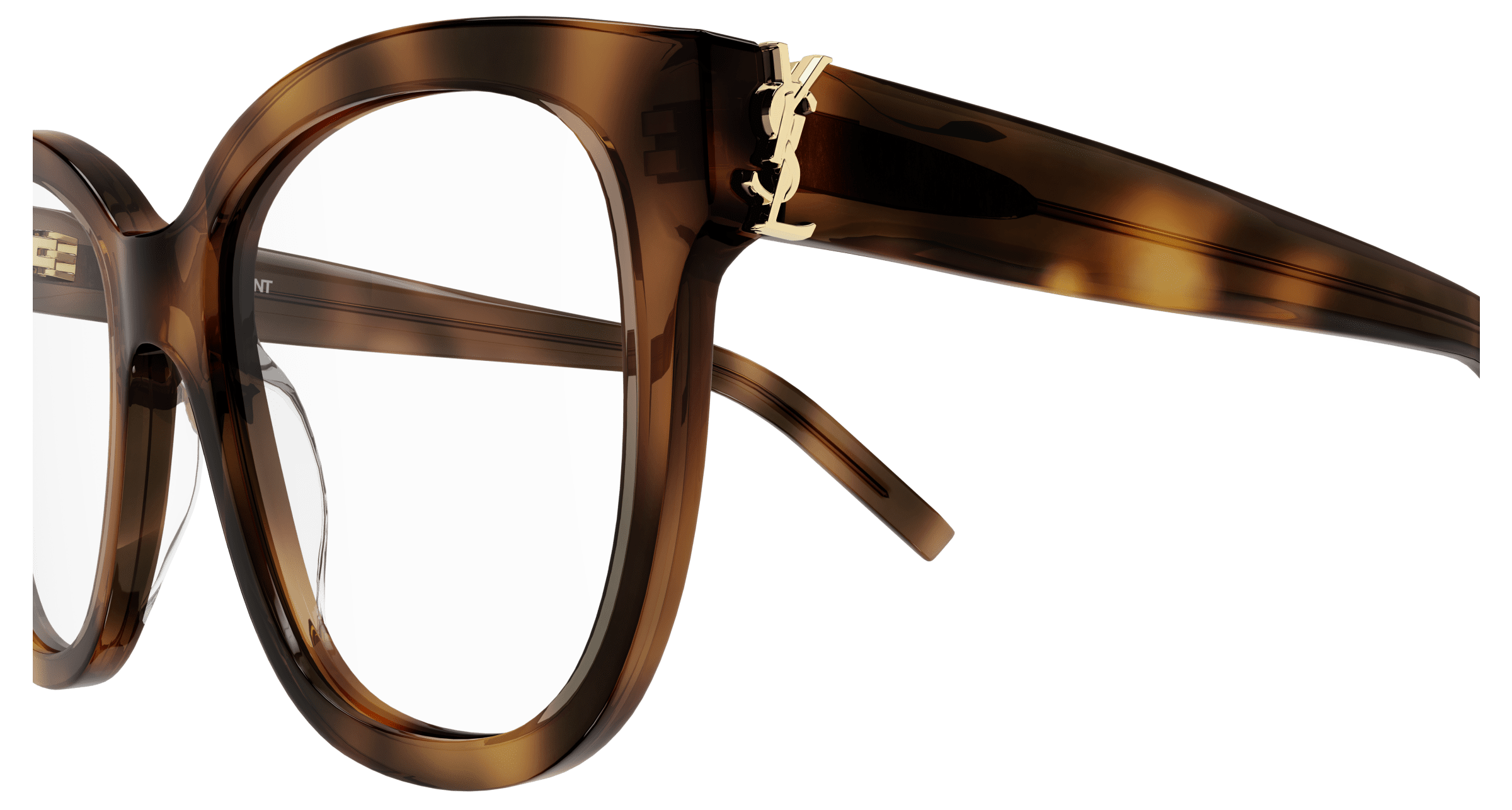 Havana Eyeglasses Saint Laurent 889652360157