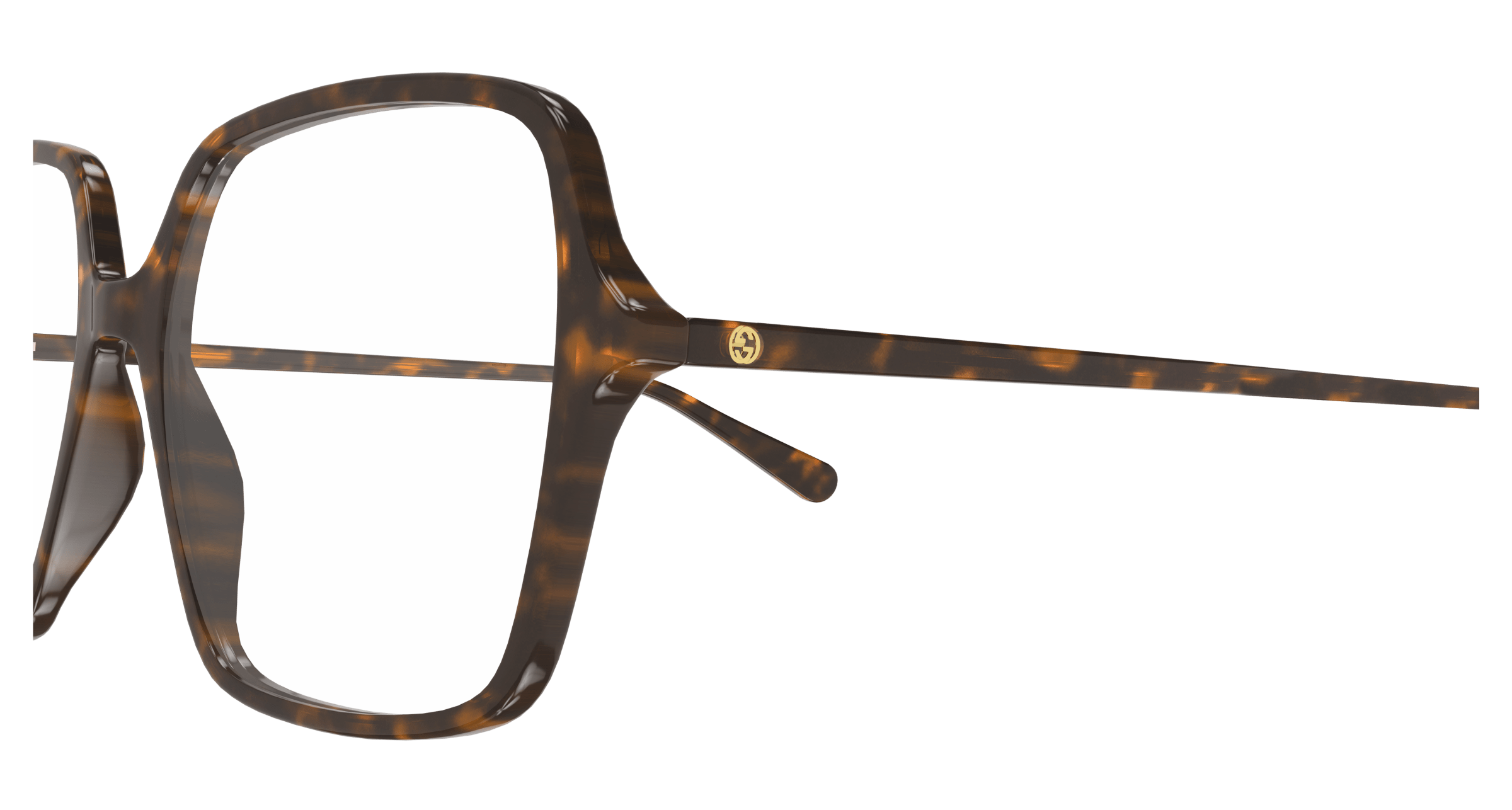 Havana Eyeglasses Gucci 889652356822