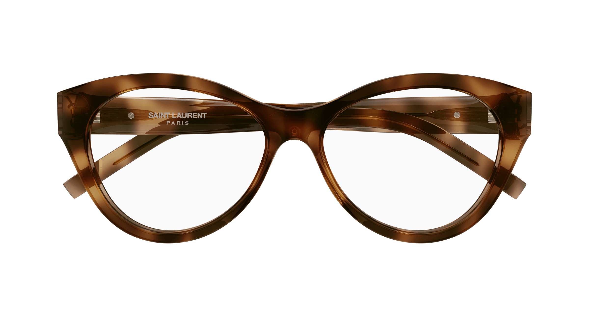 Havana Eyeglasses Saint Laurent 889652360218