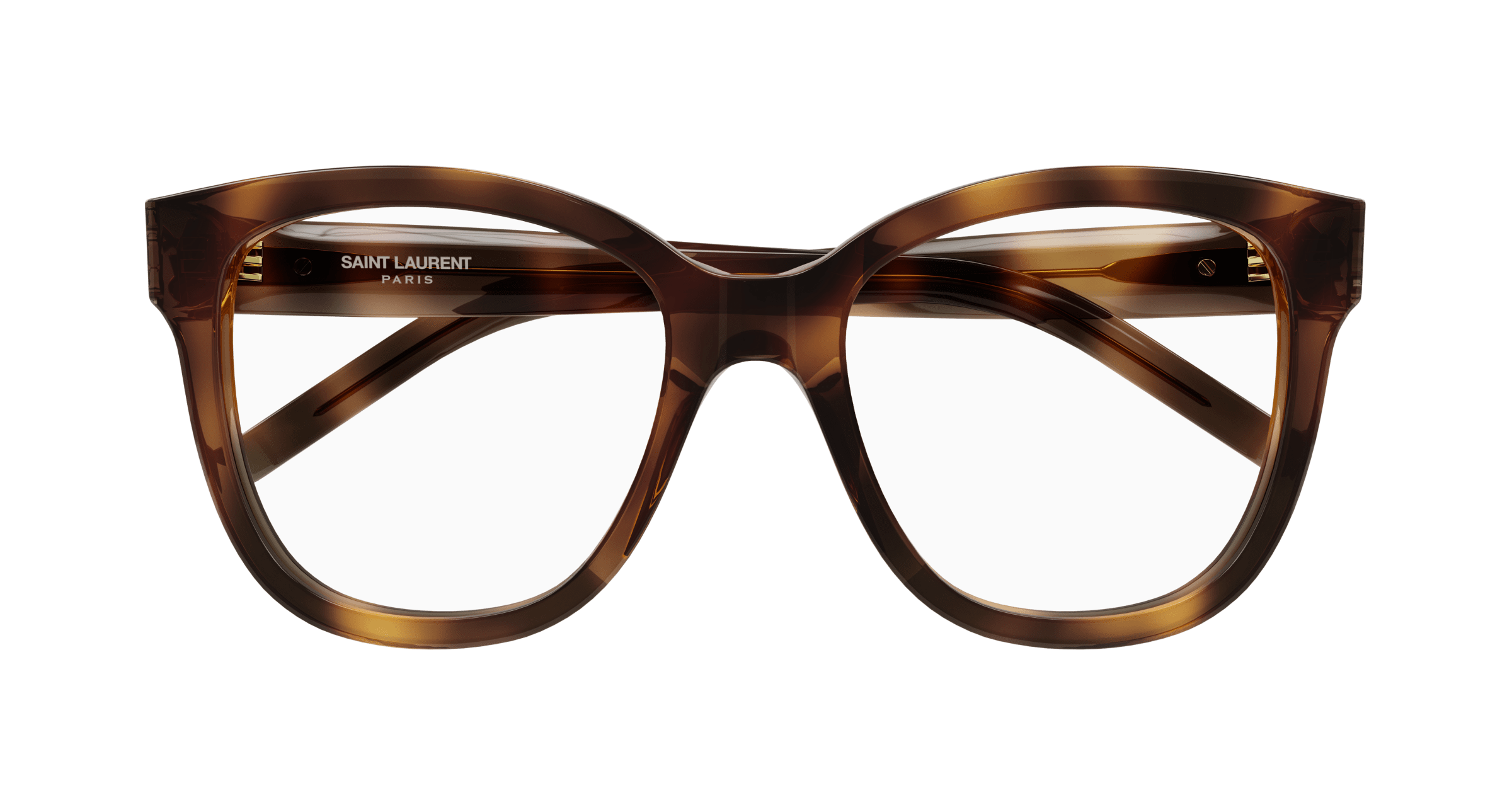 Havana Eyeglasses Saint Laurent 889652360157