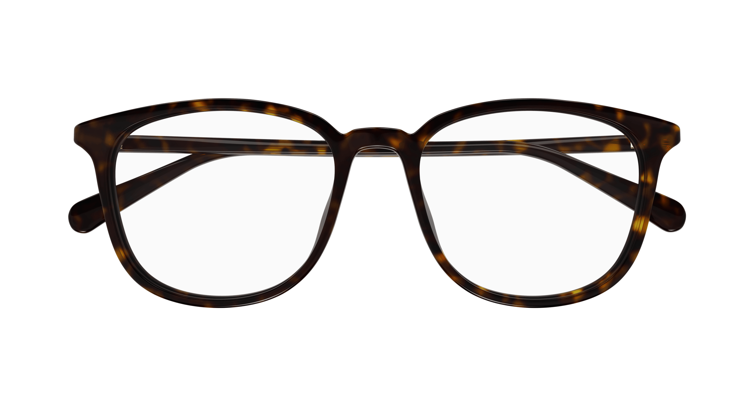 Havana Eyeglasses Gucci 889652393407