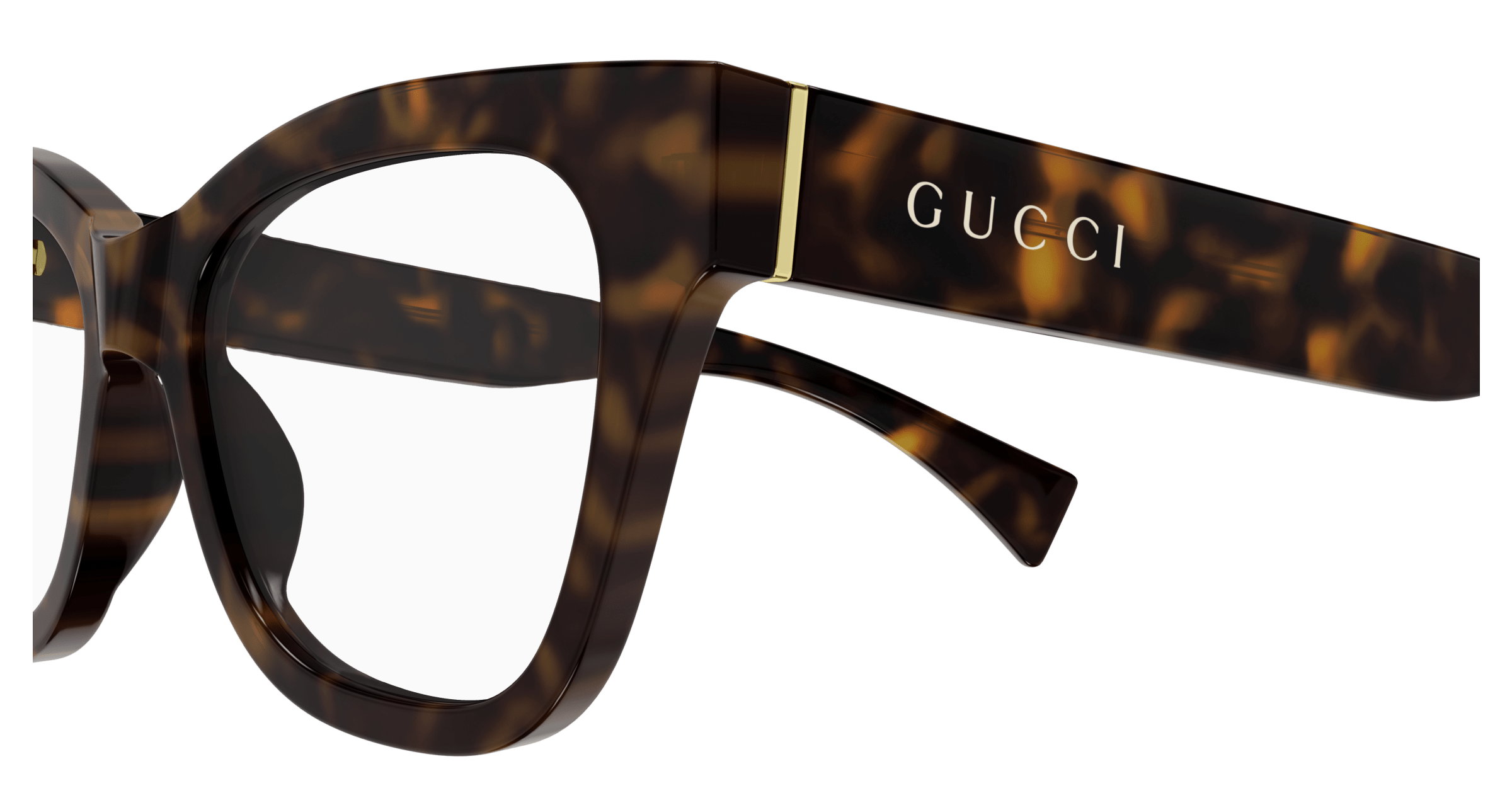 Havana Eyeglasses Gucci 889652407173