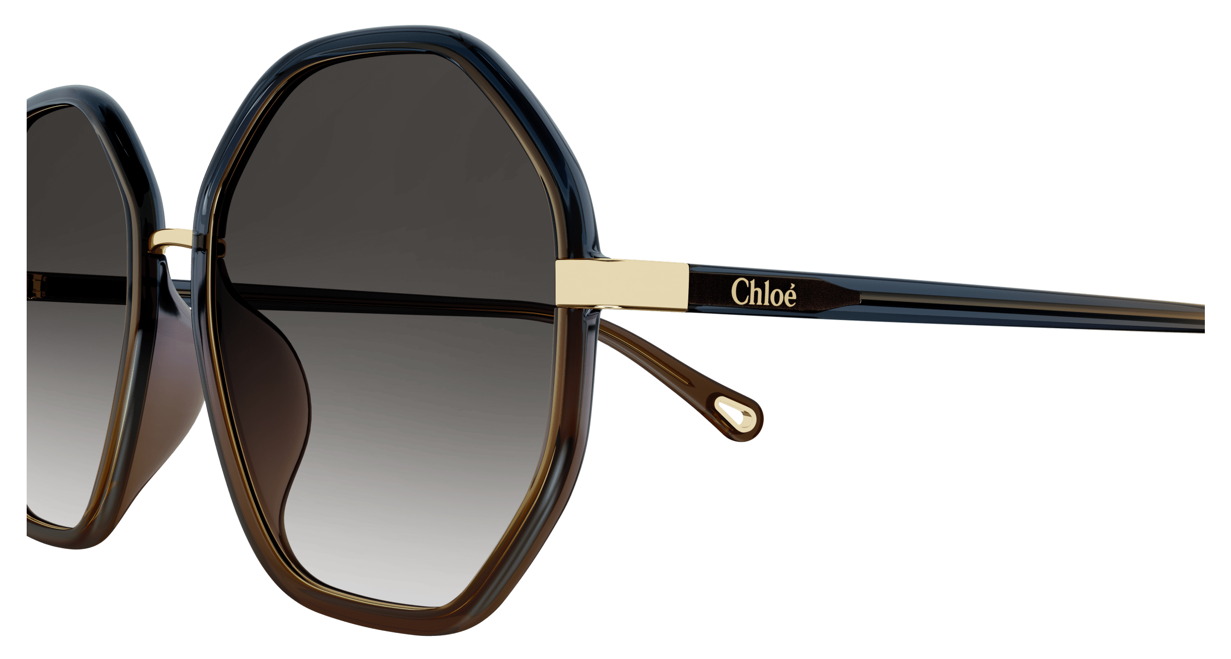 Chloe CH0133SA Sunglasses 889652402338