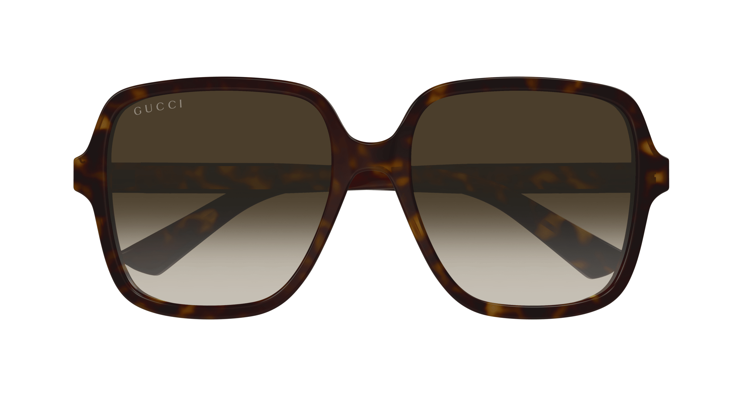 Havana Sunglasses Gucci 889652393735