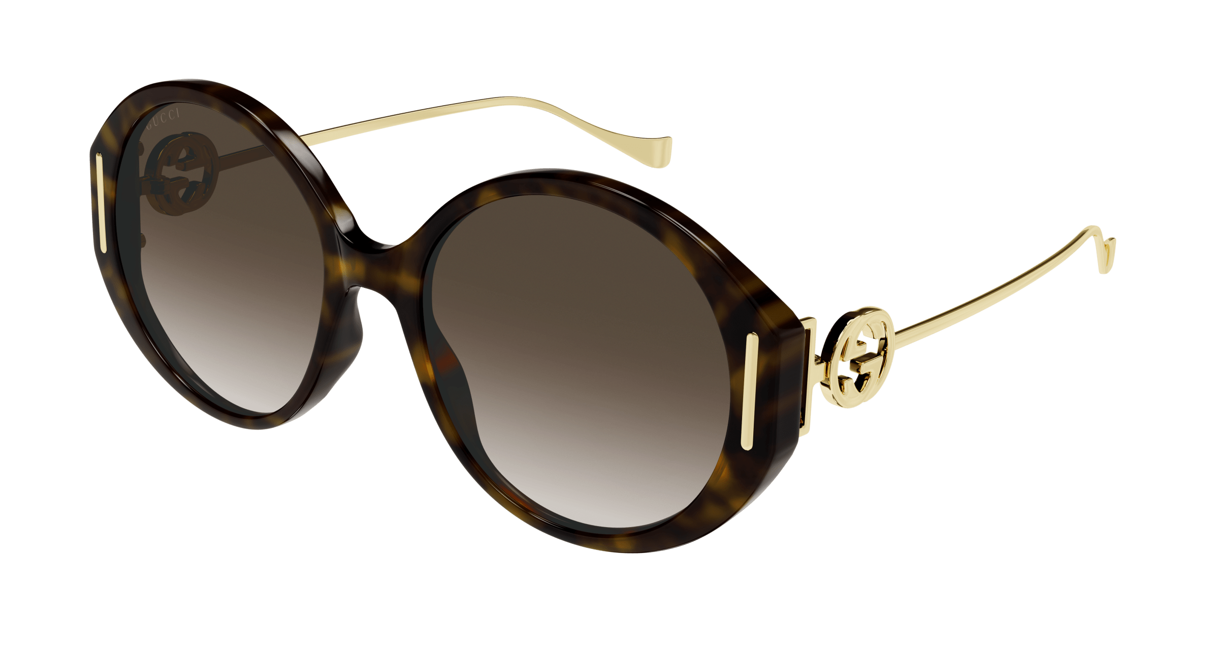 Havana Sunglasses Gucci 889652392455