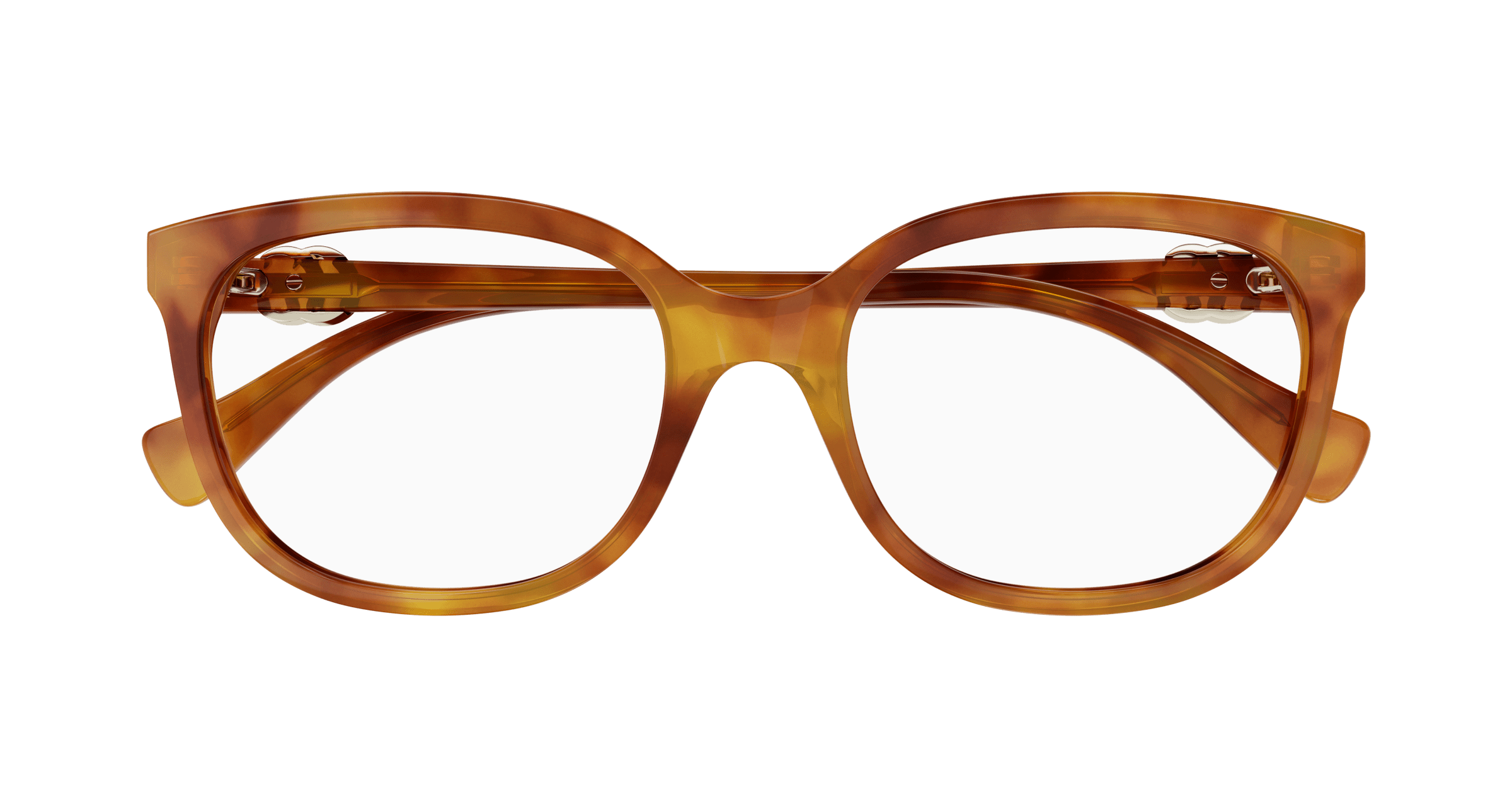 Havana Eyeglasses Gucci 889652375502