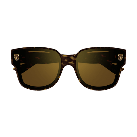  CT0357S - Sunglasses -  Ardor Eyewear -  Ardor Eyewear