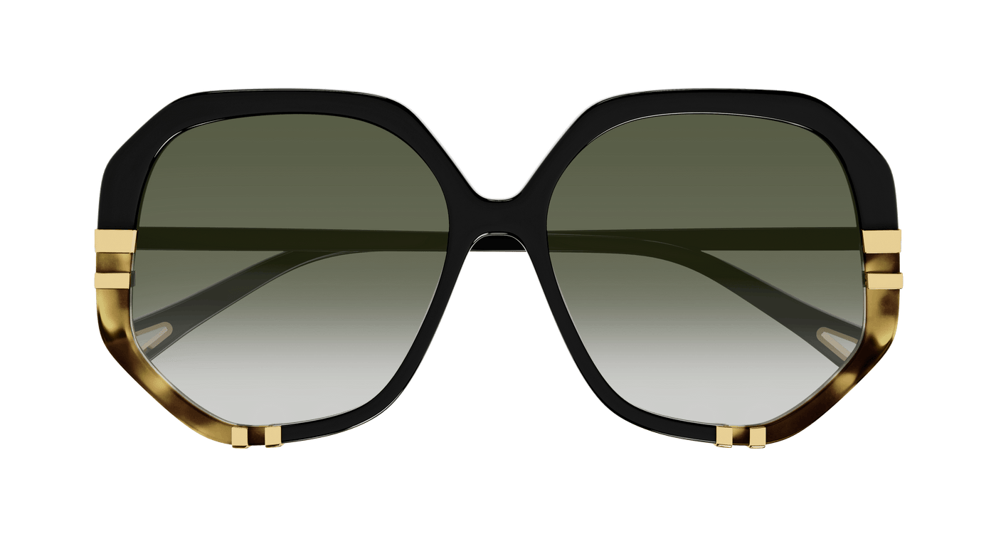 Chloe CH0105S Sunglasses 889652403519