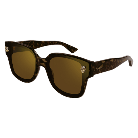  CT0357S - Sunglasses -  Ardor Eyewear -  Ardor Eyewear