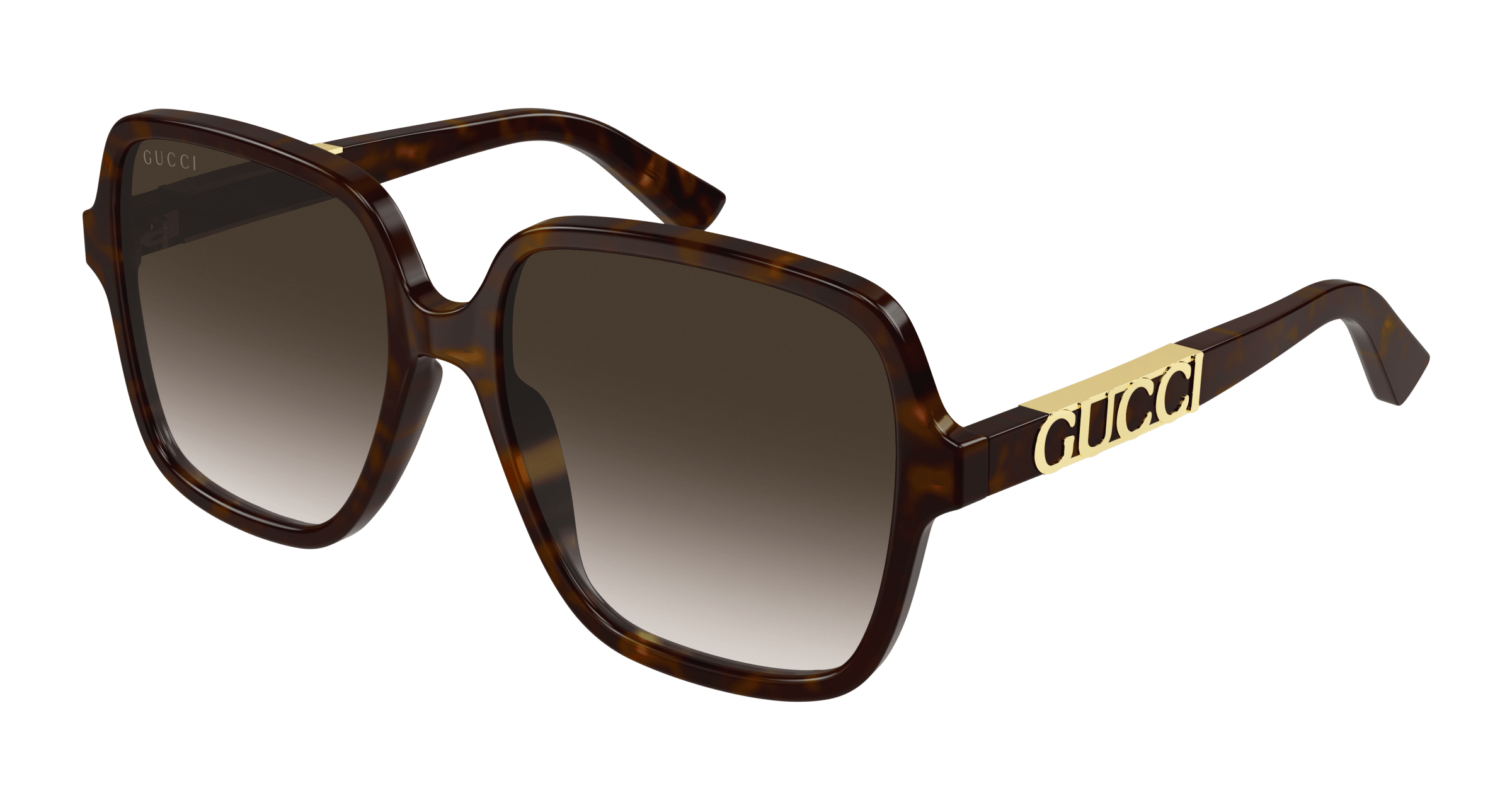 Havana Sunglasses Gucci 889652393735