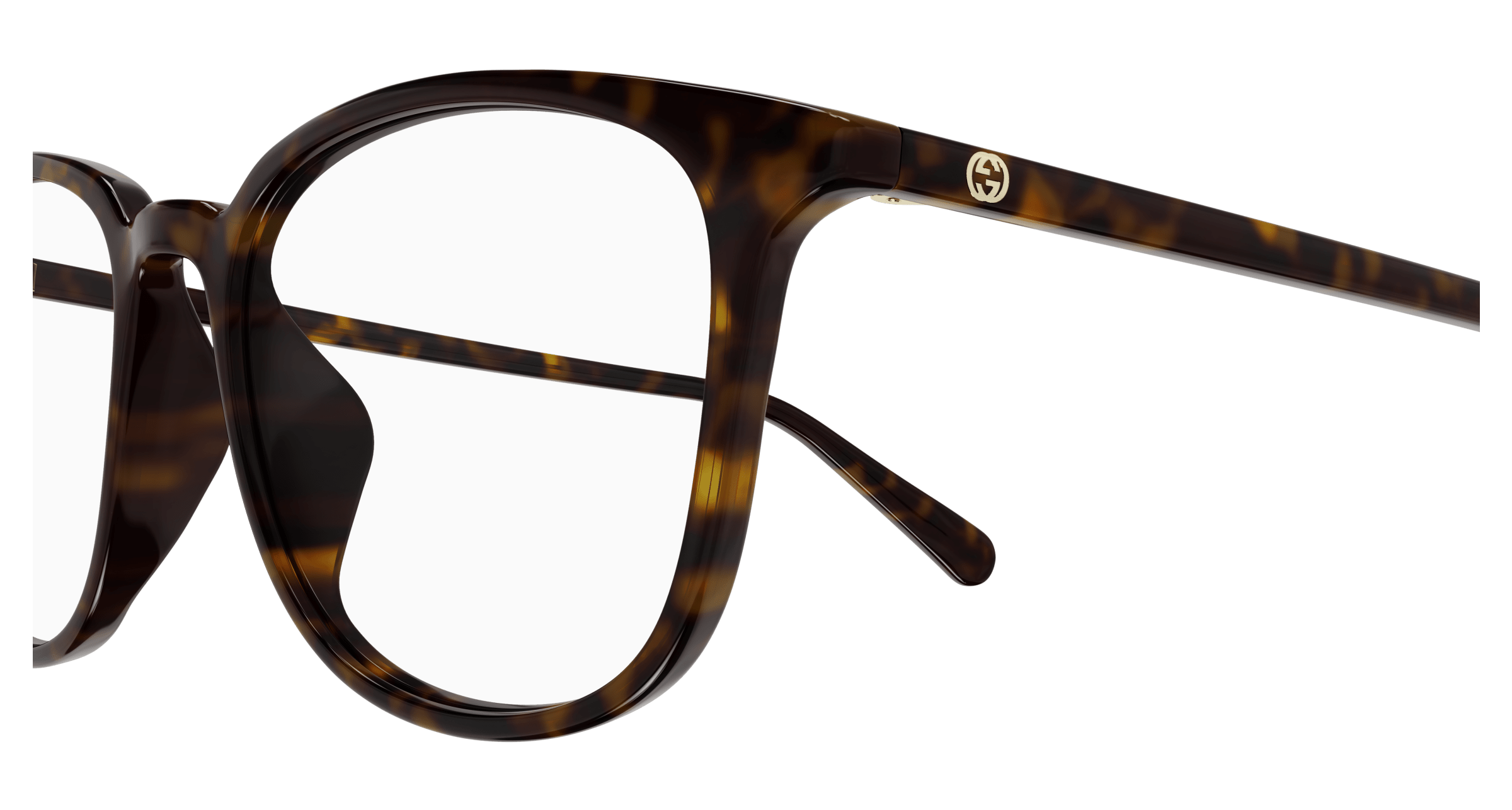 Havana Eyeglasses Gucci 889652393407